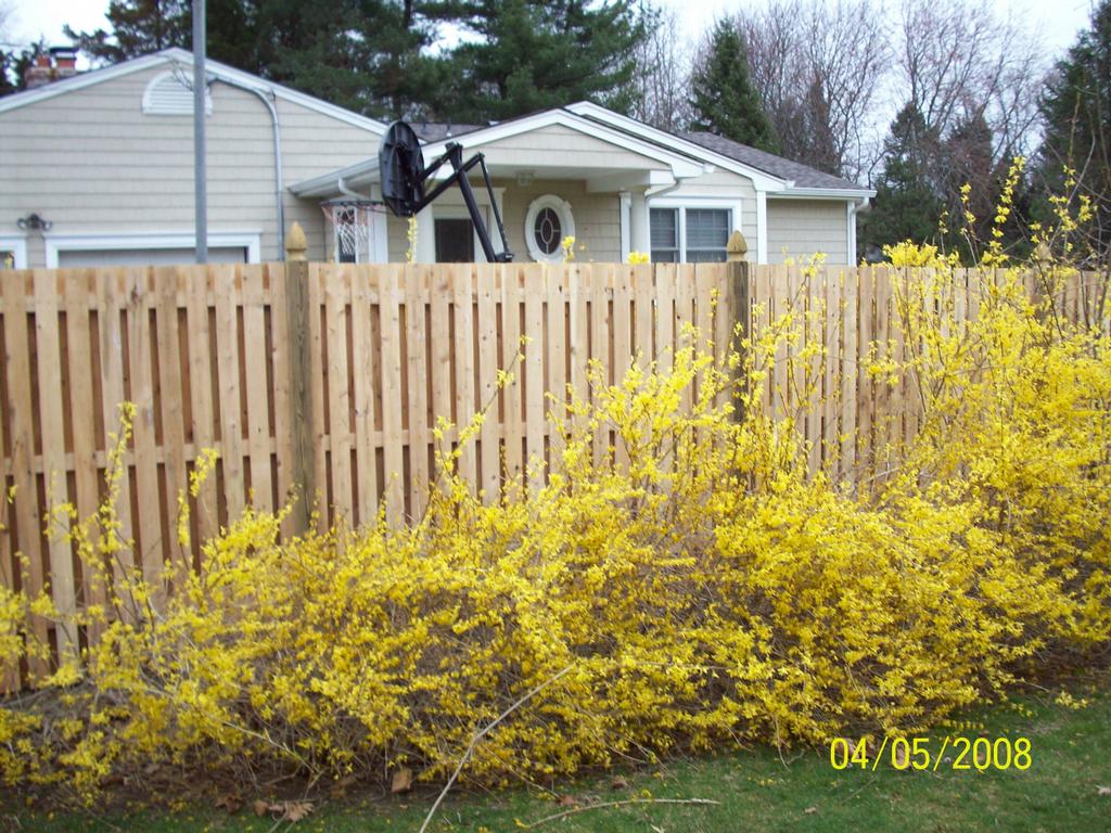 Pictures for Save 20 on Fence, Awnings & Basketball Court. Free Estimate! in Toms River, NJ 08753